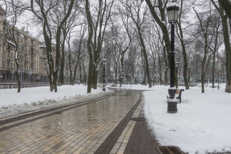 Alley in Mariinsky Park in Kyiv in winter