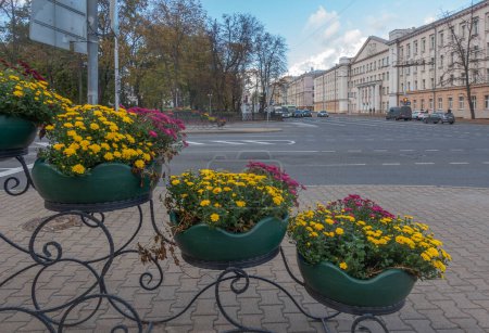 Decorative flower pots on Sverdlova Street in Minsk