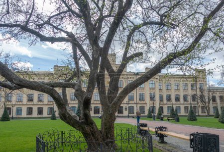 Der älteste Apfelbaum in Kiew, mehr als 160 Jahre alt in der Nähe des Polytechnischen Instituts, ein Naturdenkmal