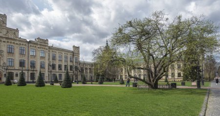 View of the Polytechnic Institute in Kyiv and the oldest apple tree in Kyiv