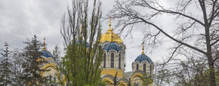 Photo for Gold Domes of the ancient Vladimir Cathedral in Kiev on a spring day - Royalty Free Image