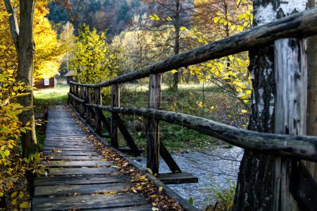 Téléchargez les photos : Passerelle en bois sur un petit ruisseau de montagne dans les paysages d'automne - en image libre de droit