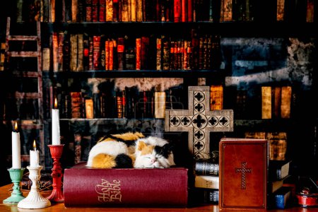 Photo for Retro library with stack of bibles and calico cat with burning candles and wooden cross - Royalty Free Image