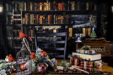Téléchargez les photos : Cardinaux rouges sur cage ouverte avec décorations de Noël et radio vintage avec fond ancienne bibliothèque - en image libre de droit