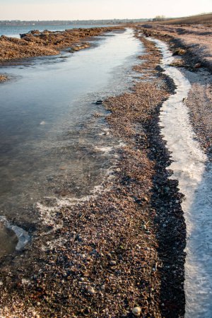 Photo for Winding strip of Ice on the shore of the Tiligul Estuary, storm emissions of algae and mollusks, Ukraine - Royalty Free Image