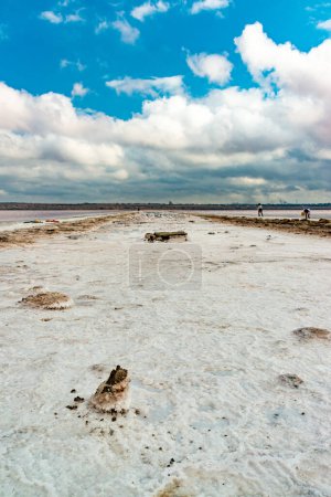 Salt crystals cover stones on the shore of a salt lake. Kuyalnik estuary, Black Sea