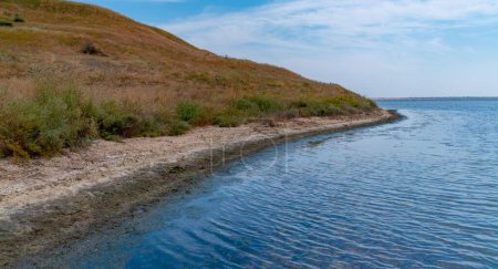 Téléchargez les photos : Algues vertes et rouges sur les rochers en eaux peu profondes et sur le rivage à marée basse dans l'estuaire du Tiligul - en image libre de droit