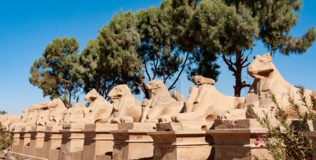 Photo for EGYPT,  LUXOR - MARCH 01, 2019: Avenue of ram-headed Sphinxes Karnak, Luxor, Egypt - Royalty Free Image