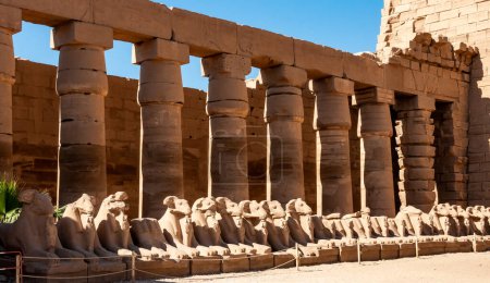 Photo for EGYPT,  LUXOR - MARCH 01, 2019: row of ram-headed sphinxes at Karnak Temple, Luxor, Egypt - Royalty Free Image