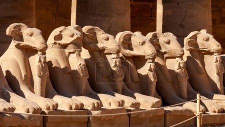 Photo for EGYPT,  LUXOR - MARCH 01, 2019: row of ram-headed sphinxes at Karnak Temple, Luxor, Egypt - Royalty Free Image