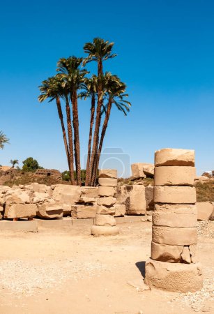 Photo for EGYPT,  LUXOR - MARCH 01, 2019:  palm trees on the territory of the preserved ruins of an ancient Egyptian temple in Luxor, Egypt - Royalty Free Image