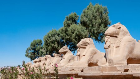 Photo for EGYPT,  LUXOR - MARCH 01, 2019: Avenue of ram-headed Sphinxes Karnak, Luxor, Egypt - Royalty Free Image