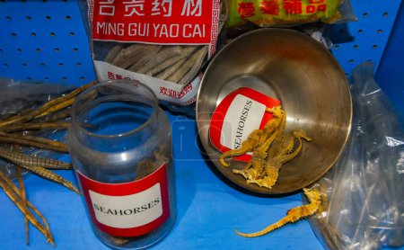 Photo for NEW YORK, USA - DECEMBER 06, 2011: seahorses dried for sale in the aquarium exposition, protection of rare species - Royalty Free Image