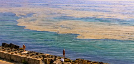 Téléchargez les photos : (Nodularia spumigena), désastre écologique, prolifération toxique d'algues bleues dans la mer Noire - en image libre de droit