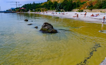 Photo for (Nodularia spumigena), ecological disaster, a toxic blue-green algae bloom in the Black Sea - Royalty Free Image