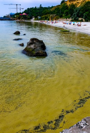 Téléchargez les photos : (Nodularia spumigena), désastre écologique, prolifération toxique d'algues bleues dans la mer Noire - en image libre de droit