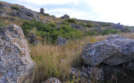 Foto de Piedras de concha y rocas en el territorio de Kazantip, paisaje de estepa con flora y fauna específicas, Crimea oriental - Imagen libre de derechos