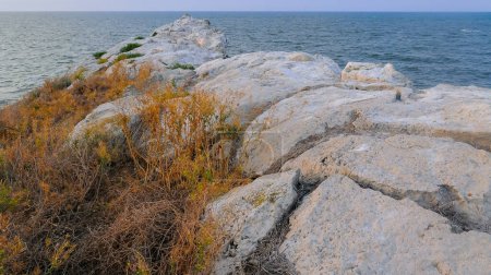Foto de La empinada costa de piedra del Mar Negro de las calizas pónticas en Kazantip, Crimea Oriental - Imagen libre de derechos