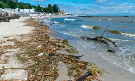 Conséquences de l'accident à la centrale électrique de Kakhovka, pollution des plages d'Odessa par les ordures et les restes végétaux apportés par l'eau