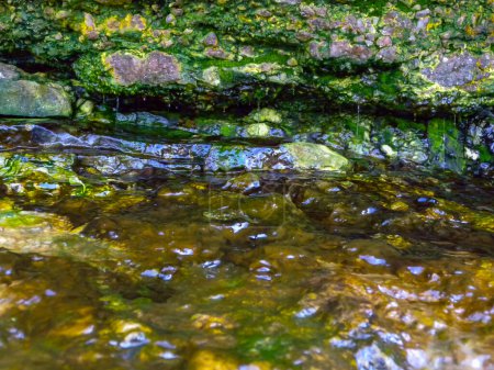 Photo for Bubbling freshwater green filamentous algae in rainwater running down rocks on Snake Island - Royalty Free Image