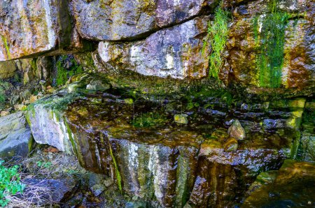 Foto de Burbujas de agua dulce verde algas filamentosas en el agua de lluvia corriendo por las rocas en la isla de la serpiente - Imagen libre de derechos