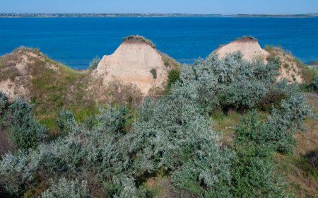Photo for Steppe landscape, clay shore and "rock-camel" on the bank of the Tiligul estuary in summer, Ukraine - Royalty Free Image