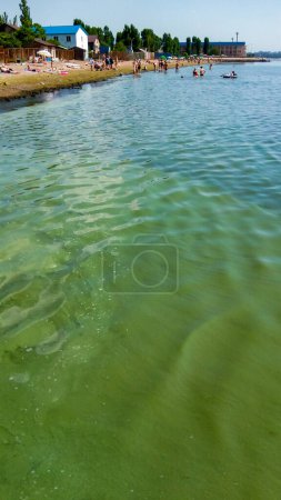 Foto de UCRANIA, ODESSA - 08 DE JUNIO DE 2019: Florecimiento del agua, Las algas flotan en la superficie del agua en el Mar Negro, una alga tóxica azul-verde (Nodularia spumigena), desastre ecológico - Imagen libre de derechos