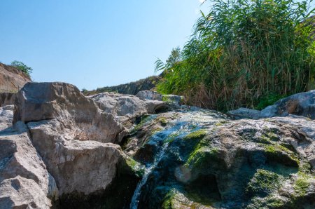 Photo for The stream flows down the granite stones on the riffles of the river, Ukraine - Royalty Free Image