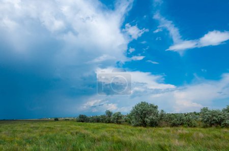 Photo for White clouds over the Blooming Steppe near the Tiligul estuary, Ukraine - Royalty Free Image