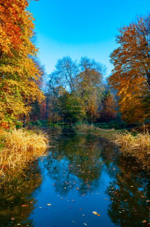 Photo for Autumn landscape, Colorful trees with yellow foliage in Sofievsky park, Uman - Royalty Free Image