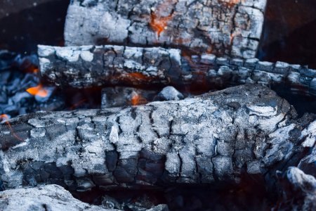 Photo for Firewood burning in the brazier, smoldering log coals - Royalty Free Image