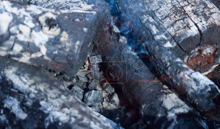 Photo for Firewood burning in the brazier, smoldering log coals - Royalty Free Image