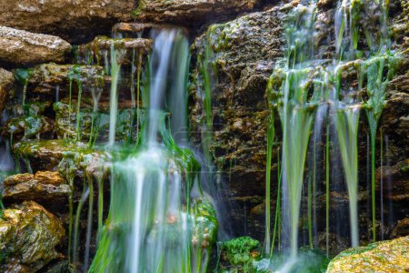 Foto de Pequeña cascada sobre piedras cubiertas de algas verdes de agua dulce Enteromorpha sp. - Imagen libre de derechos