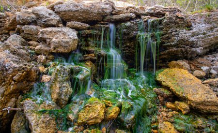 Téléchargez les photos : Petite cascade sur pierres recouvertes d'algues vertes d'eau douce Enteromorpha sp. - en image libre de droit