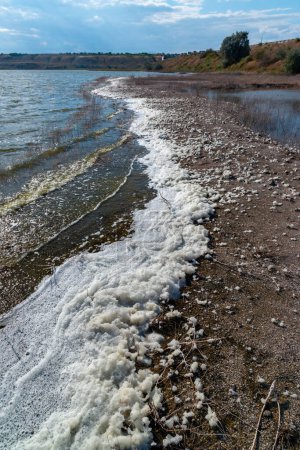 Foto de Problema ambiental y contaminación, eutrofización de un reservorio natural, espuma sucia en la orilla, estuario de Tiligul - Imagen libre de derechos