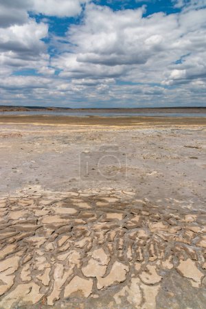 Photo for A dried and cracked layer of dead crustaceans Artemia salina and their yellow eggs on the bank of the Kuyalnik estuary, Odessa region, Ukraine - Royalty Free Image