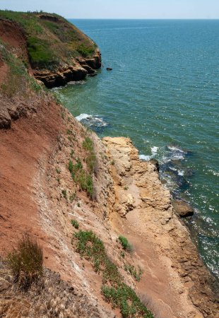 Foto de Arcillosa empinada y la costa de roca cáscara cubierto de vegetación salvaje de la estepa en la isla de Berezan, Ucrania - Imagen libre de derechos