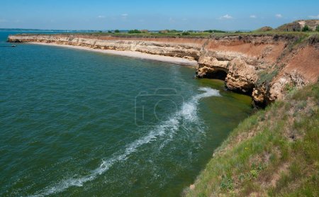 Téléchargez les photos : Raide rivage argileux et coquillier recouvert de végétation de steppe sauvage sur l'île de Berezan, Ukraine - en image libre de droit