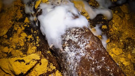 Téléchargez les photos : Colonies envahies de champignons moisissures Ascomycètes sur matière organique pourrie dans les catacombes d'Odessa - en image libre de droit