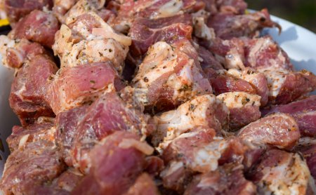 Photo for Pork meat is fried on smoking coals in the grill - Royalty Free Image