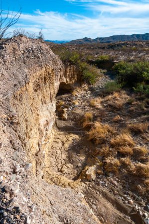 A large ravine eroded by rainwater in the Texas rock desert in Big Bend NP, landscape with mountains in the background, Texas
