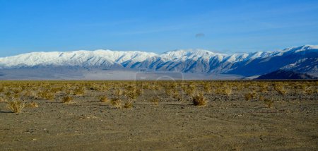 Photo for Landscape of wet clay desert in winter against the backdrop of snow-capped mountains in the Death Valley area, California - Royalty Free Image