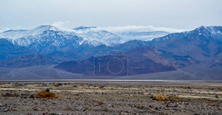 Photo for Sun-scorched, lifeless, stony, dry desert in the foothills of California - Royalty Free Image