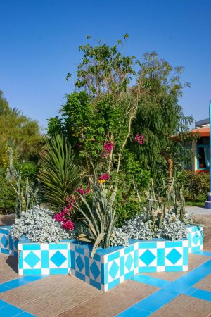 Téléchargez les photos : Diverses plantes tropicales à l'intérieur d'un jardin d'hôtel à Hurghada, en Egypte - en image libre de droit