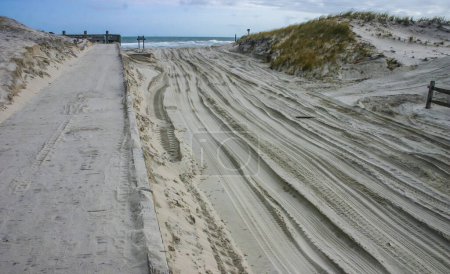 Traces of car wheels among sand dunes on the ocean shore, destruction of coastal vegetation. Island Beach State Park