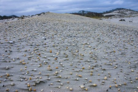 Kleine Kieselsteine im Sand nach starkem Wind an der Küste des Ozeans in New Jersey, USA