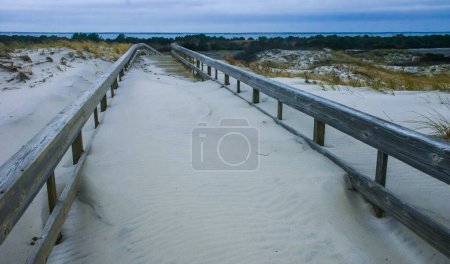Kilometerlange Sanddünen und weiße Sandstrände bieten Meerespflanzen und einer vielfältigen Tierwelt Lebensraum, der fast der gleiche ist wie vor Tausenden von Jahren, Island Beach State Park