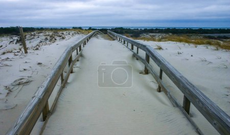 Miles of sand dunes and white sandy beaches offer habitat to maritime plants and diverse wildlife that is almost the same as it was thousands of years ago, Island Beach State Park