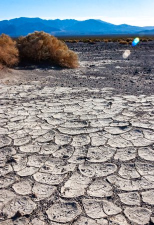 Trockener, gelber Ton, der in der Sonne mit Sand in der kalifornischen Wüste aufgebrochen ist, Death Valley Nationalpark, Kalifornien