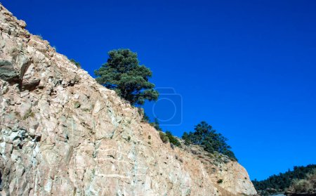 Téléchargez les photos : Des conifères et d'autres plantes résistantes à la sécheresse poussent sur les roches argileuses et rocheuses de la montagne au col de la Sierra Nevada, Californie, États-Unis - en image libre de droit